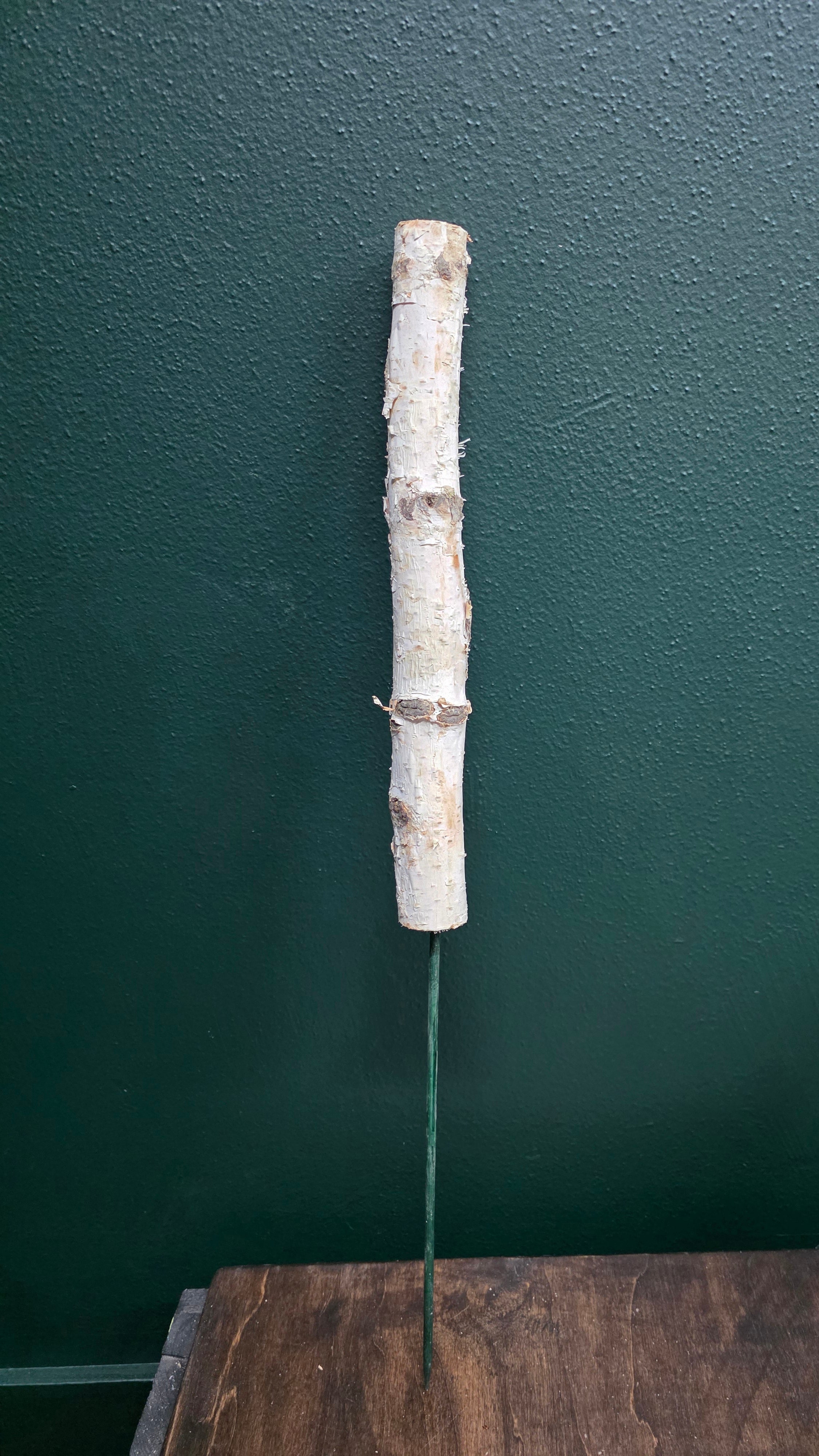 Mini birch poles on 12" or 18" picks- 24/pk