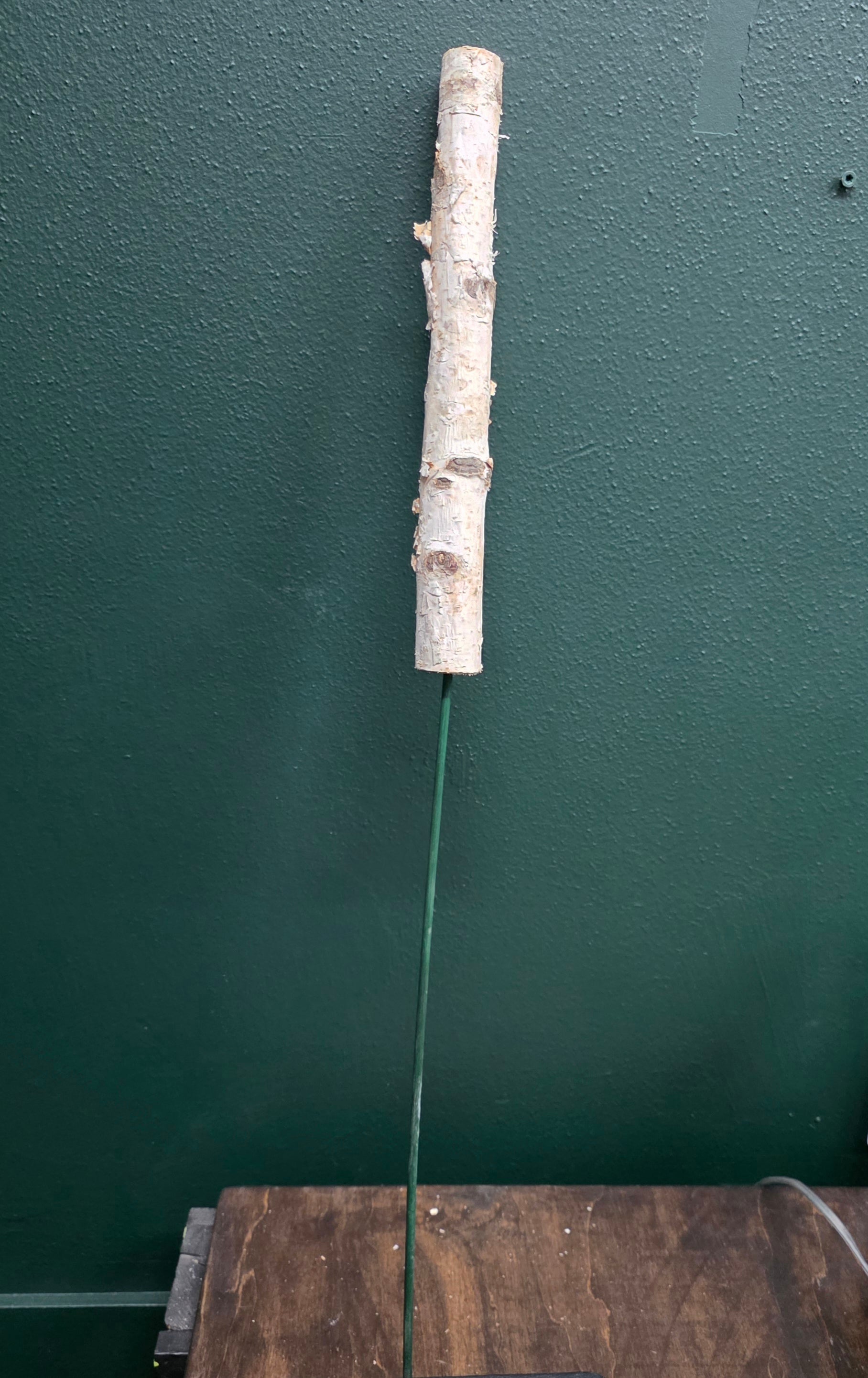 Mini birch poles on 12" or 18" picks- 24/pk