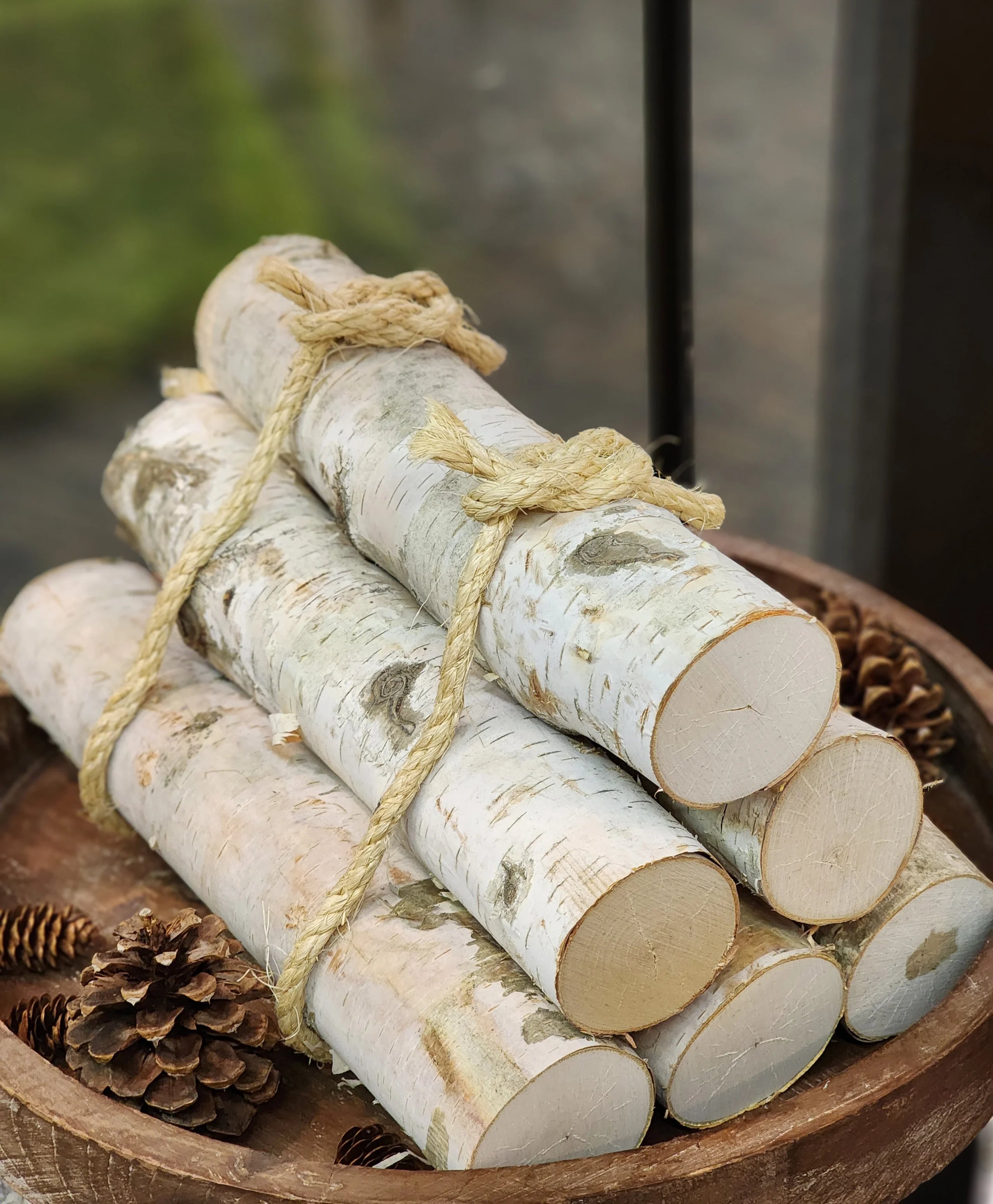 12" Birch log bundle, set of 6 logs x 2-3" diameter- 5/pk