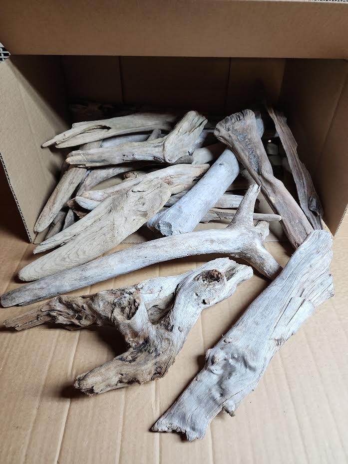 Natural Driftwood