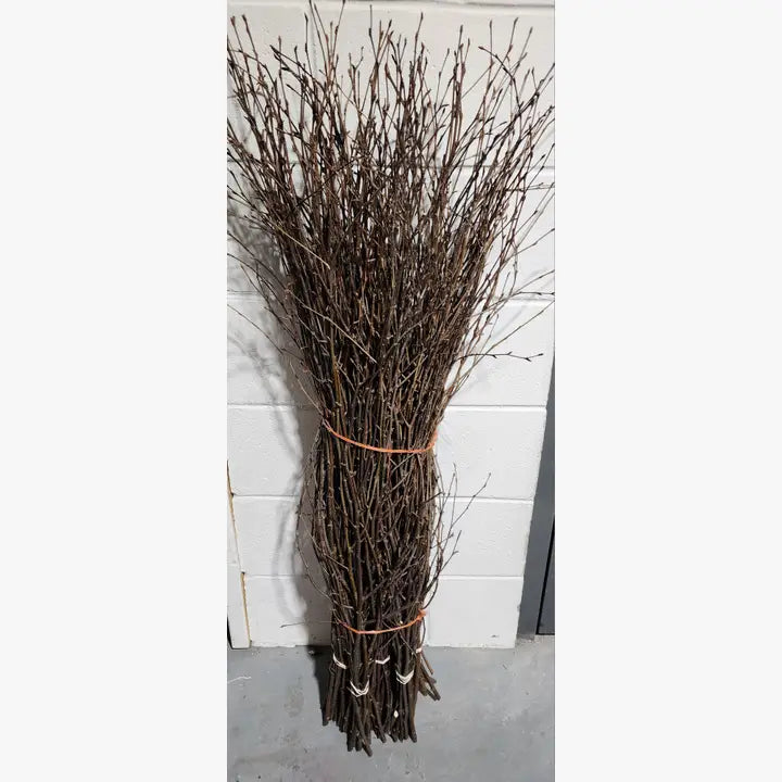 Natural 4ft Birch Branches