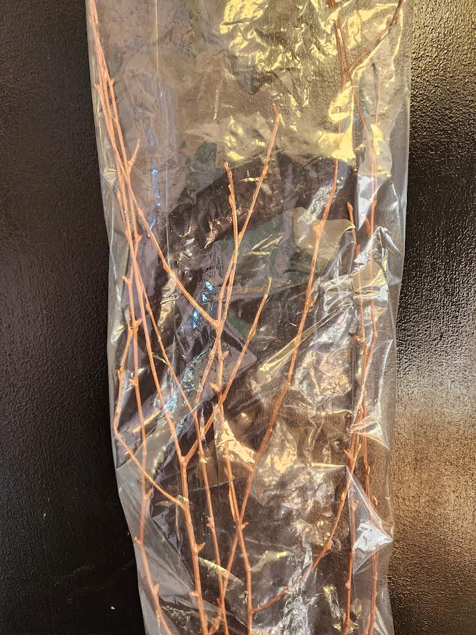 Sleeved Birch Branches natural & Painted 4ft (4pc sleeve, packed 24)