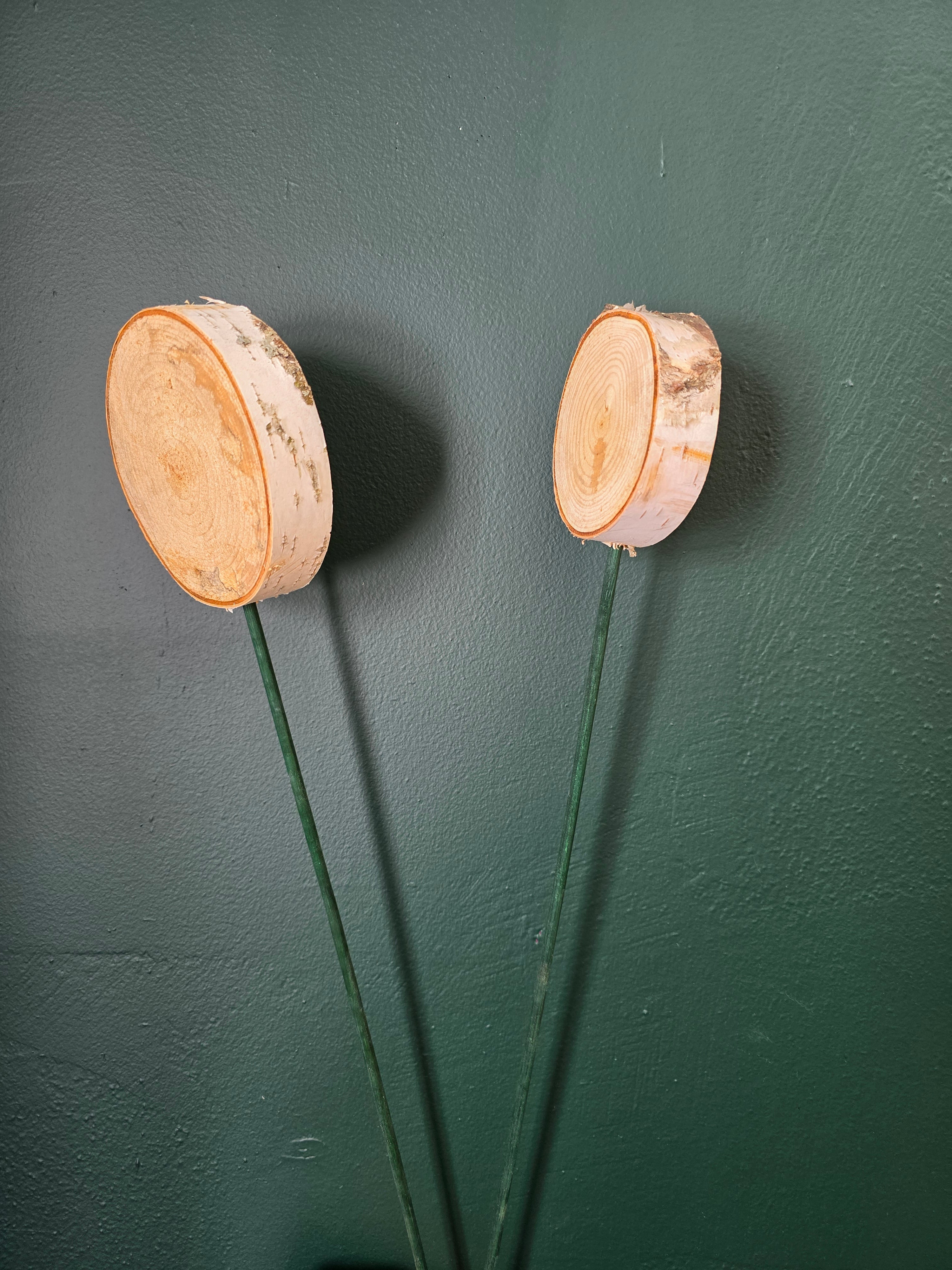 Birch Decorative lollipops- 24/pk