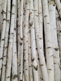 White Birch Poles- Various lengths, diameters, and case packs.