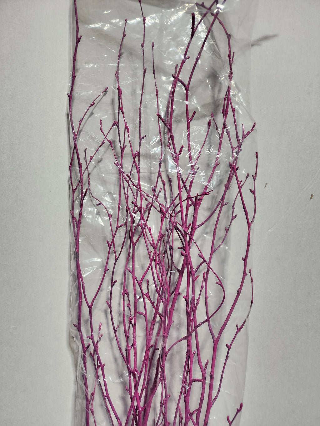 Sleeved Birch Branches natural & Painted 4ft (4pc sleeve, packed 24)