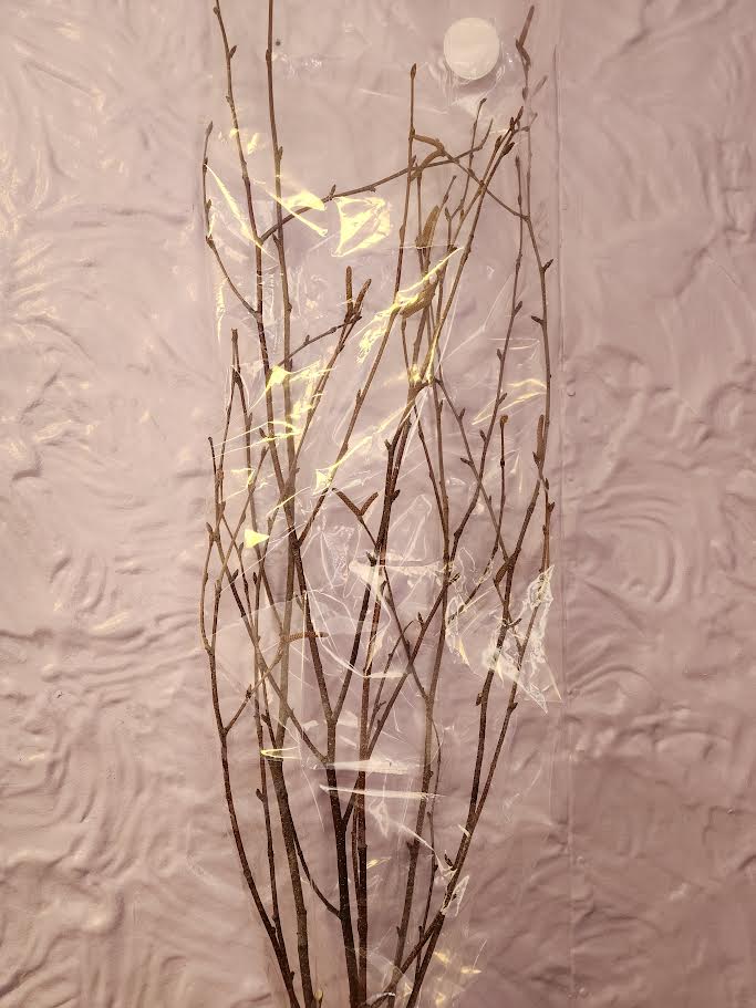 Sleeved Birch Branches natural & Painted 4ft (4pc sleeve, packed 24)