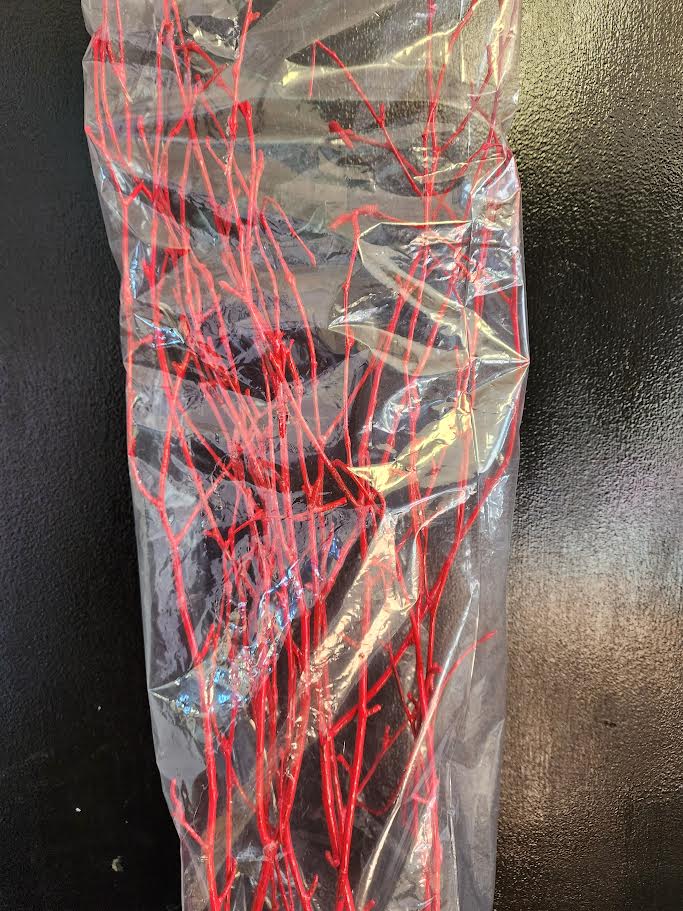 Sleeved Birch Branches natural & Painted 4ft (4pc sleeve, packed 24)