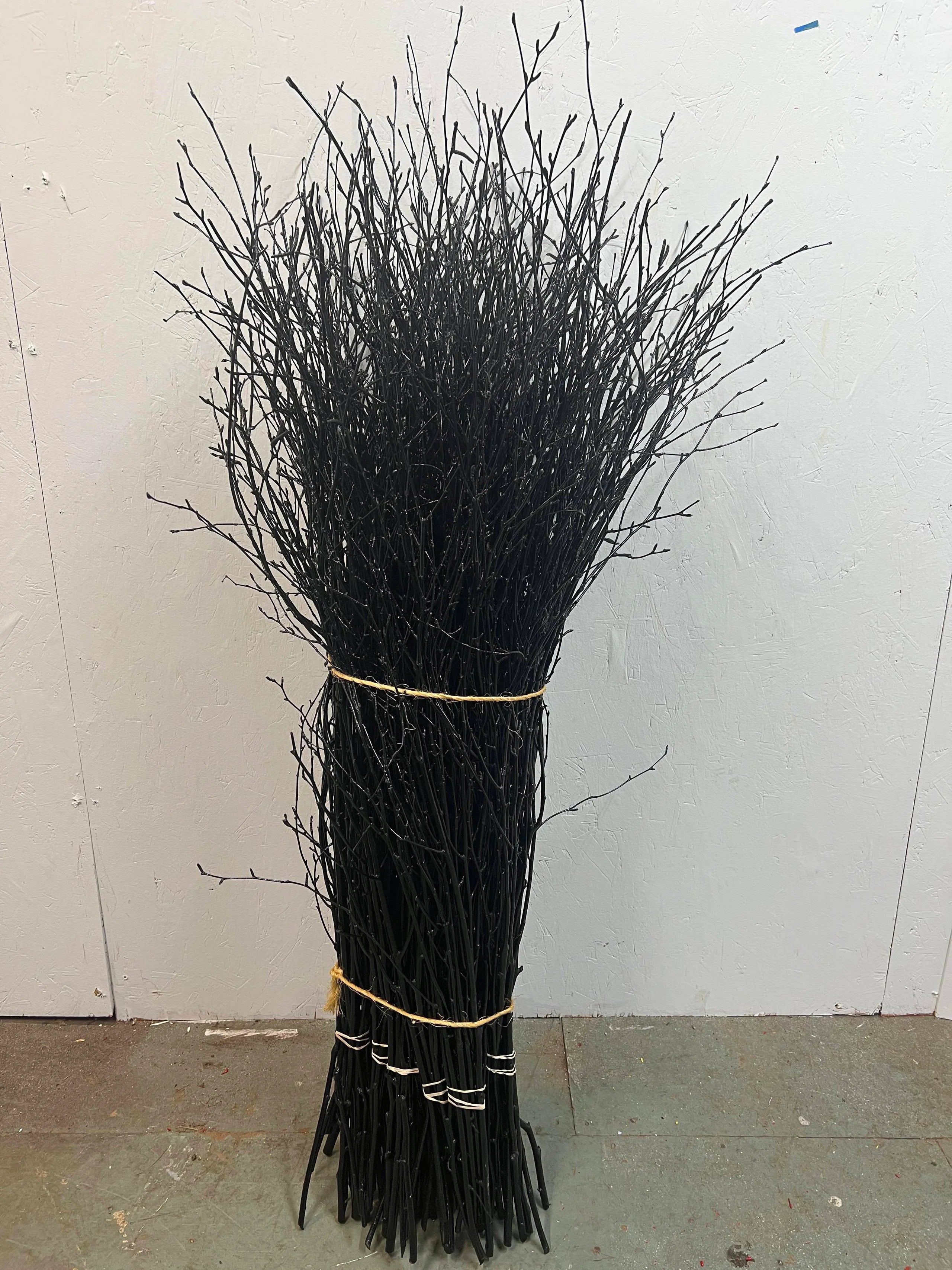 Painted Birch Branches Bulk 4ft. Multiple colors (10pc bunches packed 12- 120 twigs)