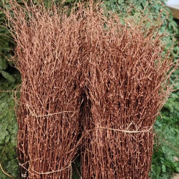 Painted Birch Branches Bulk 4ft. Multiple colors (10pc bunches packed 12- 120 twigs)