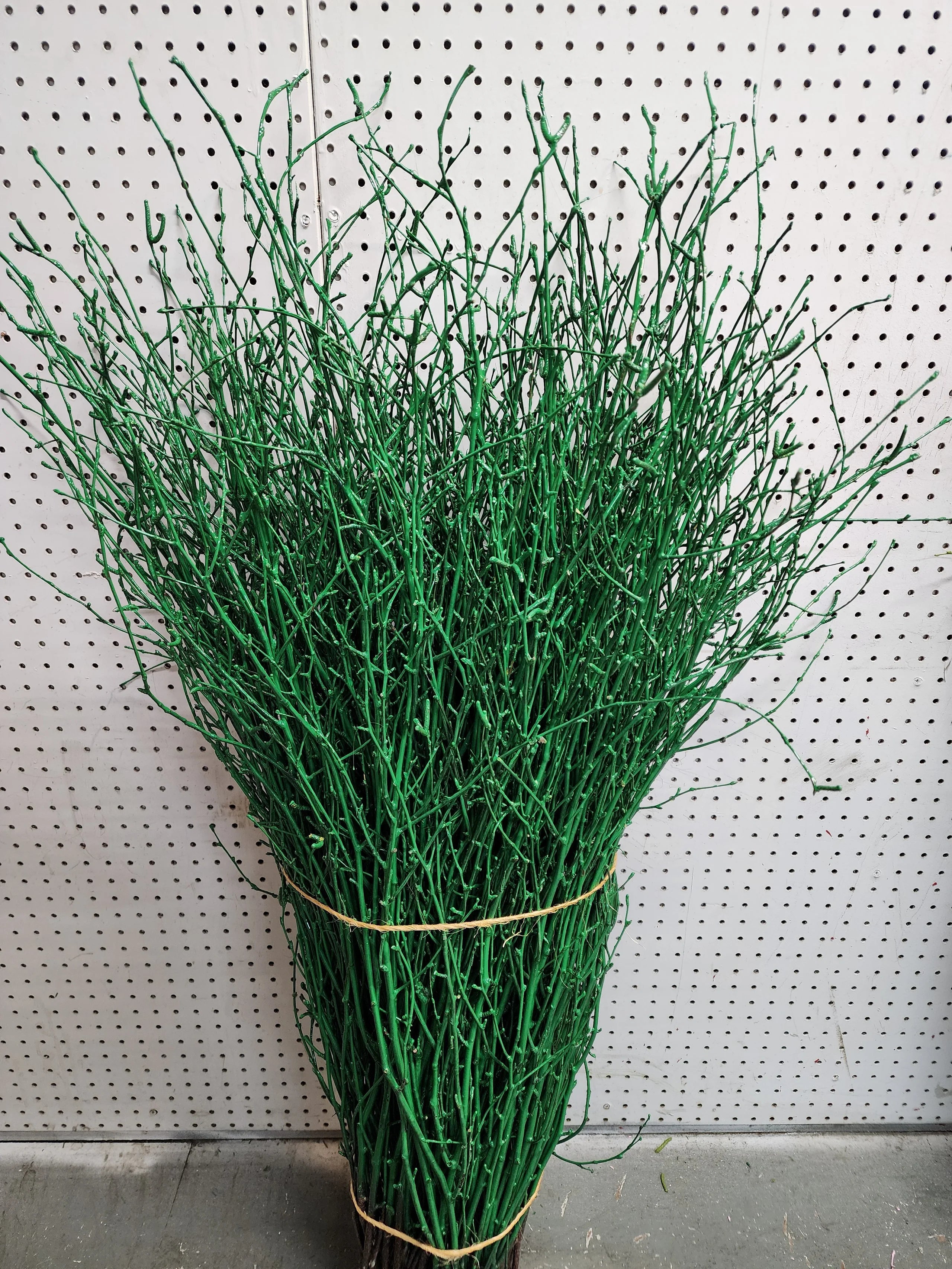 Painted Birch Branches Bulk 4ft. Multiple colors (10pc bunches packed 12- 120 twigs)