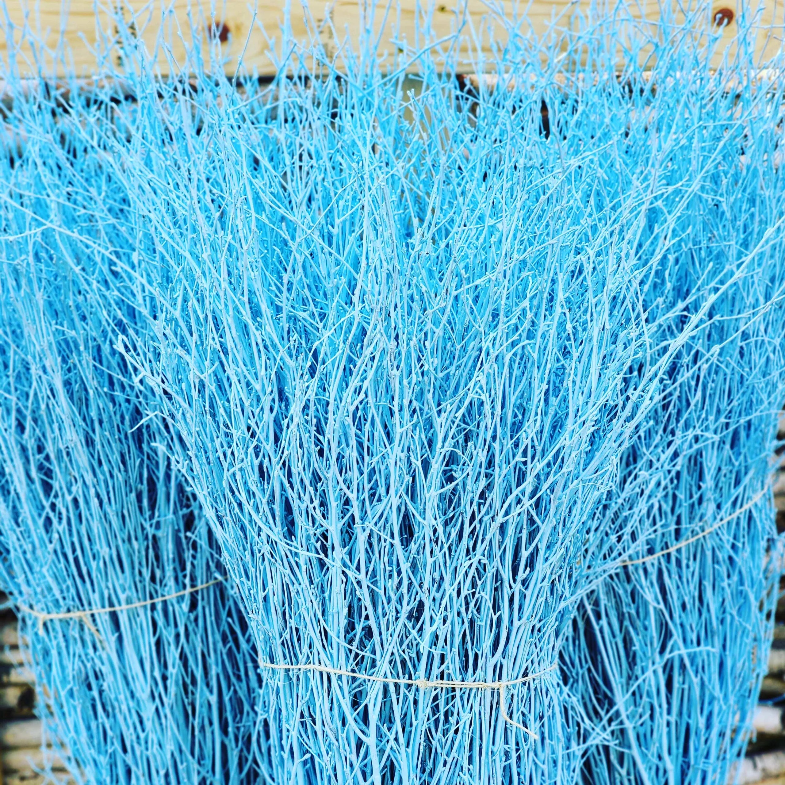 Painted Birch Branches Bulk 4ft. Multiple colors (10pc bunches packed 12- 120 twigs)