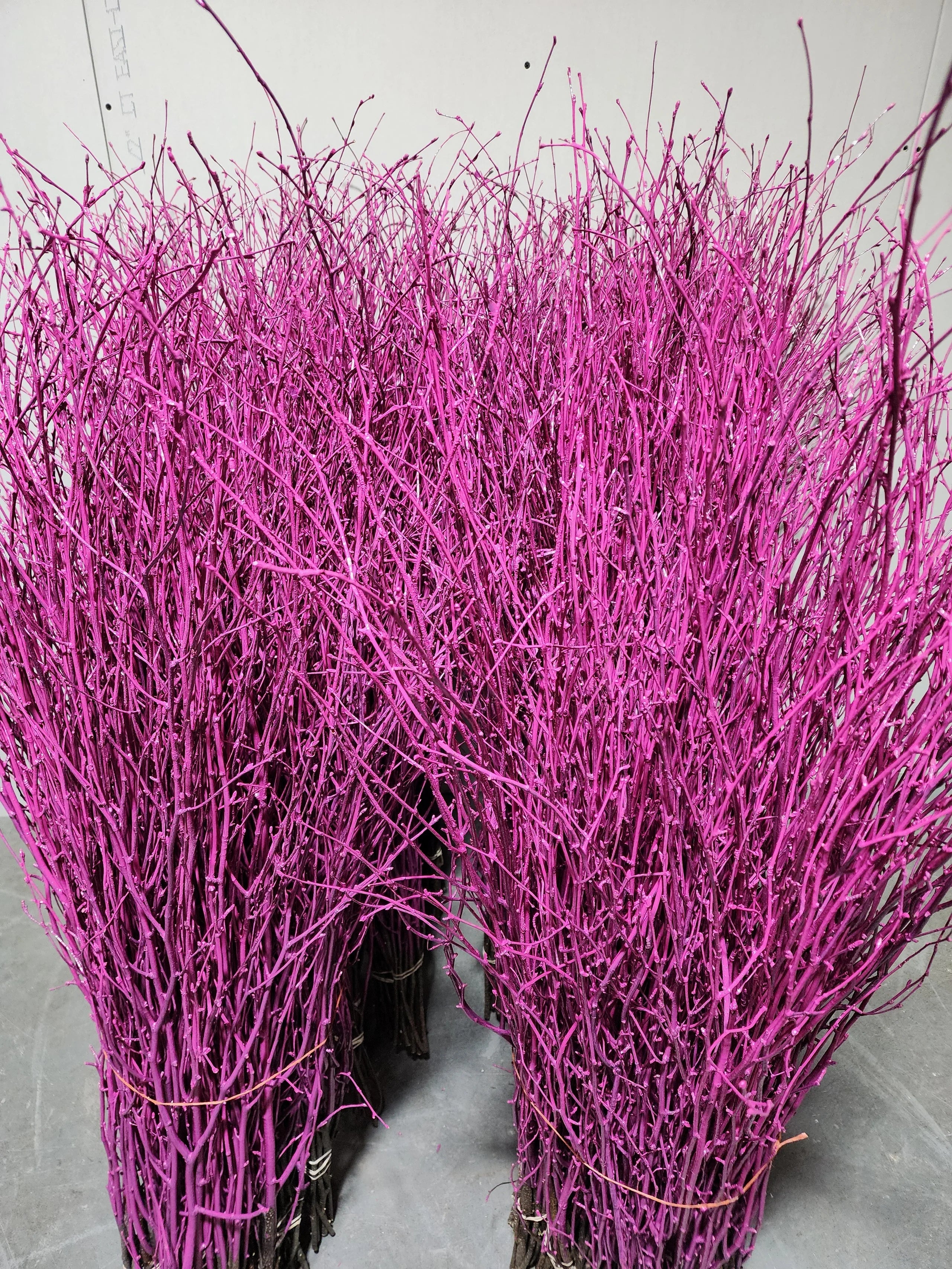 Painted Birch Branches Bulk 4ft. Multiple colors (10pc bunches packed 12- 120 twigs)