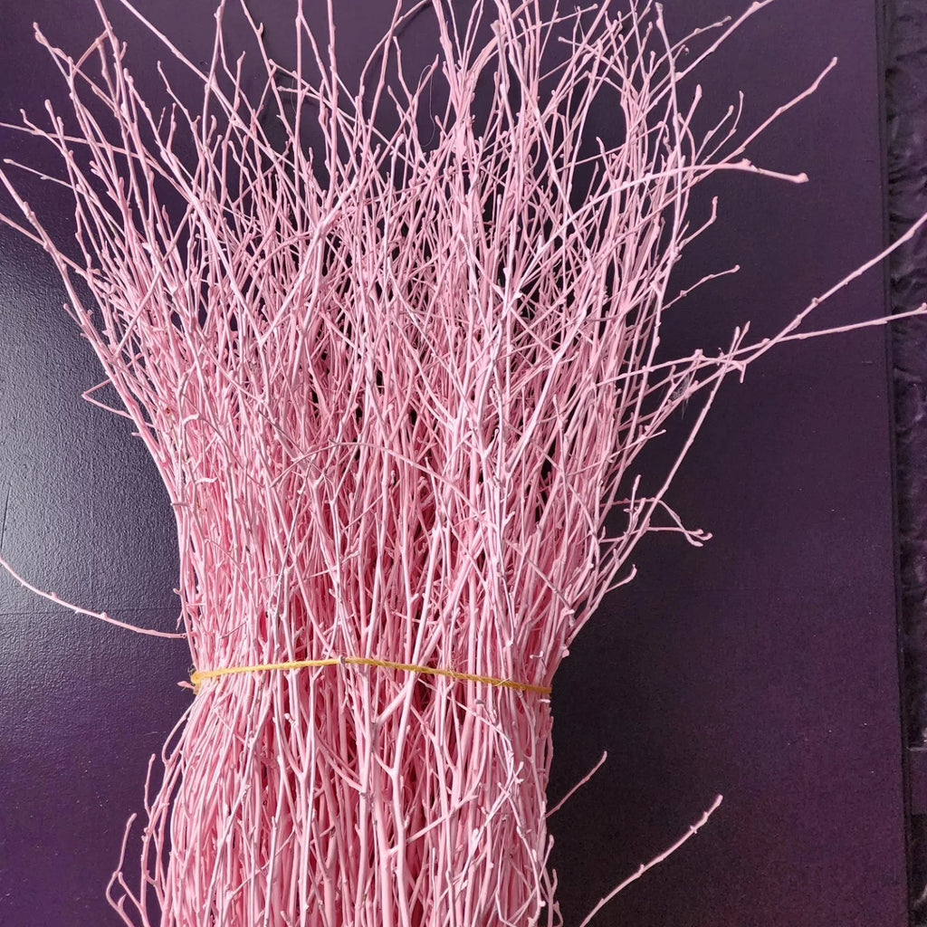 Painted Birch Branches Bulk 4ft. Multiple colors (10pc bunches packed 12- 120 twigs)