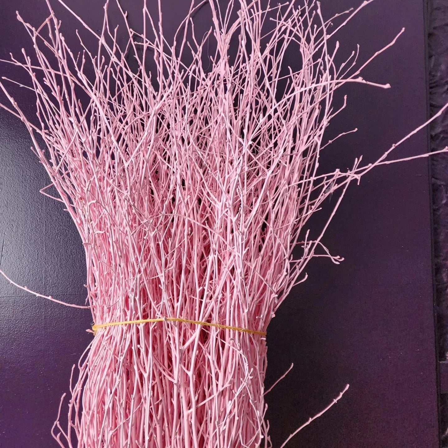 Painted Birch Branches Bulk 4ft. Multiple colors (10pc bunches packed 12- 120 twigs)