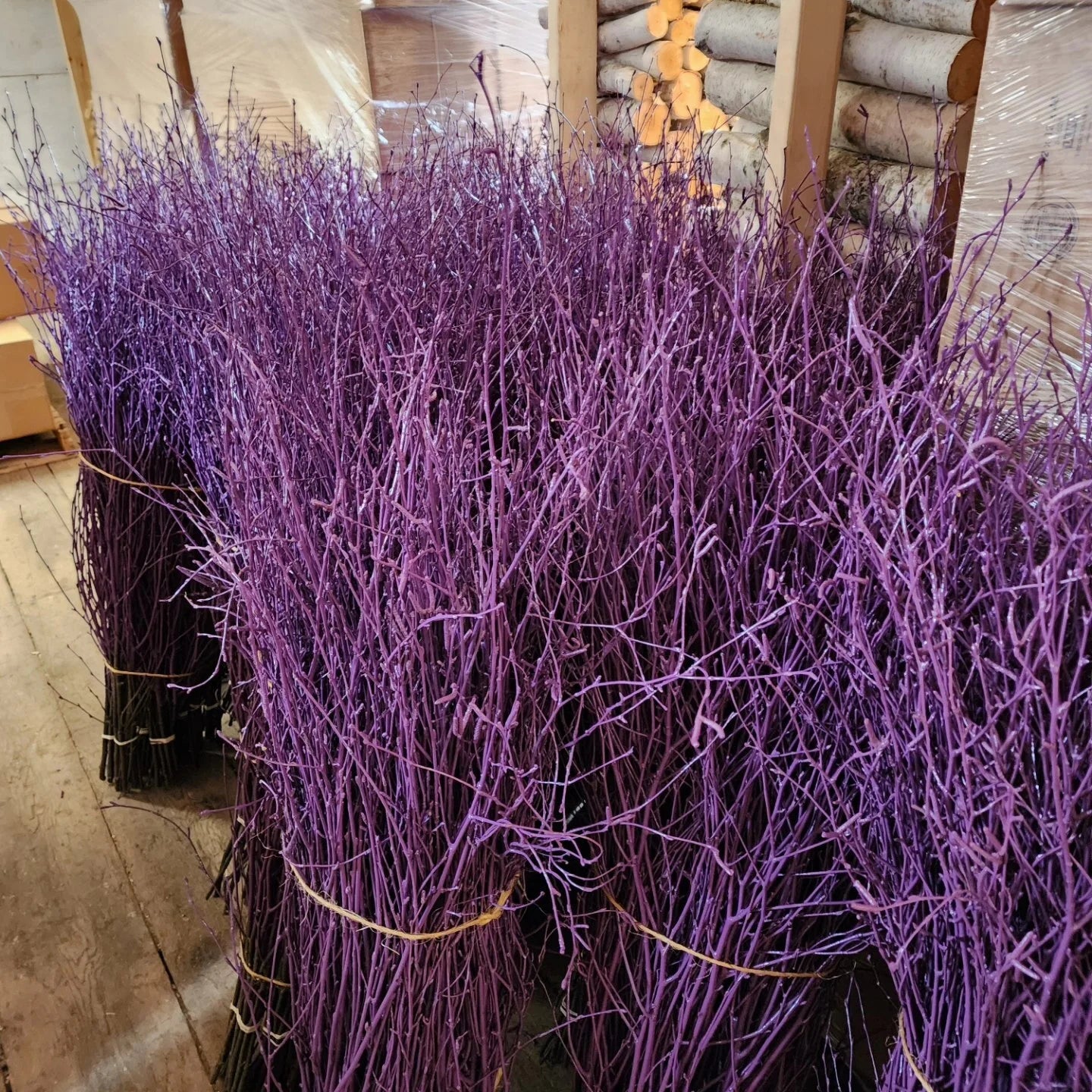 Painted Birch Branches Bulk 4ft. Multiple colors (10pc bunches packed 12- 120 twigs)