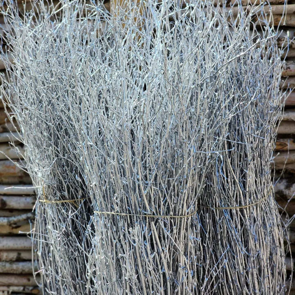 Painted Birch Branches Bulk 4ft. Multiple colors (10pc bunches packed 12- 120 twigs)