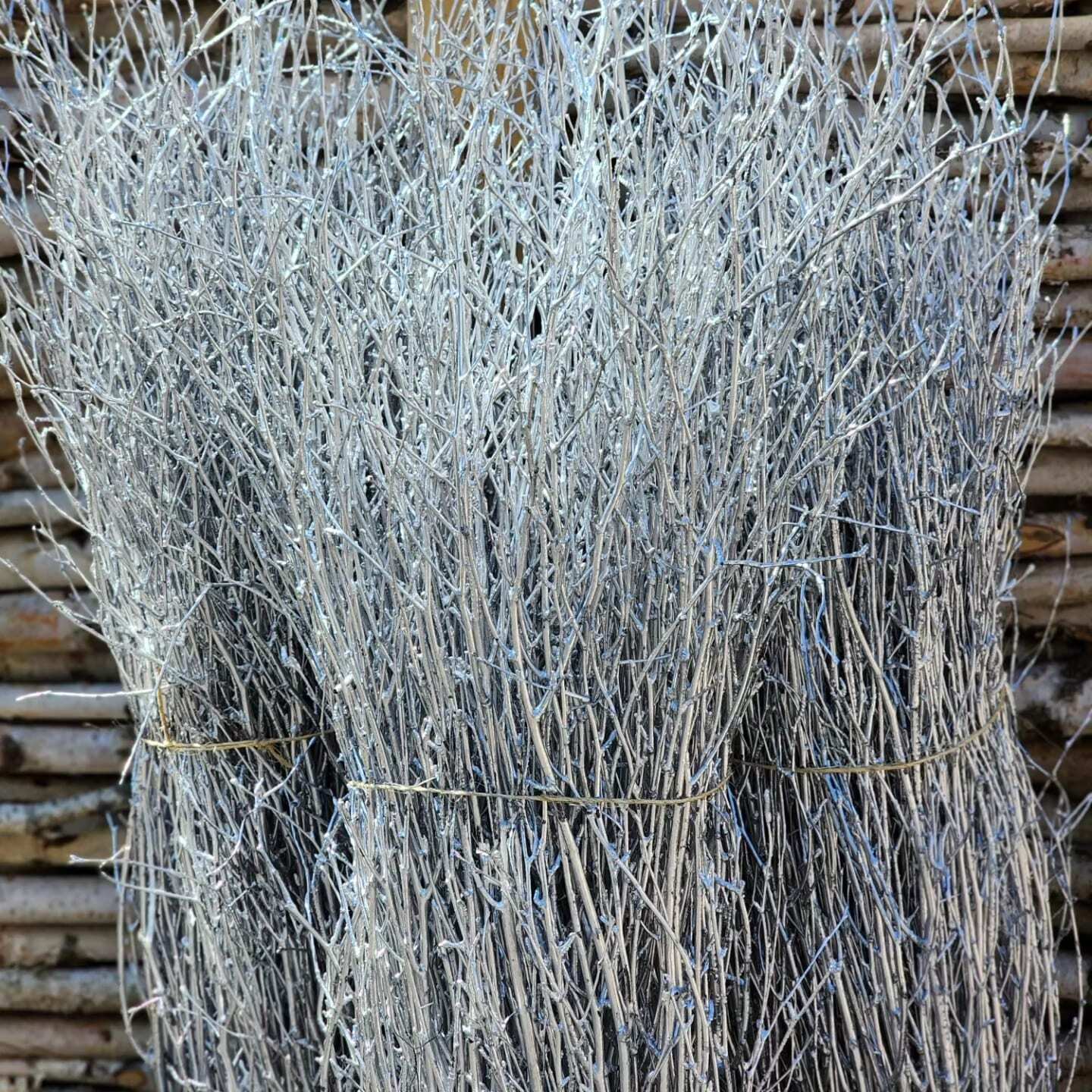 Painted Birch Branches Bulk 4ft. Multiple colors (10pc bunches packed 12- 120 twigs)